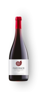 patoinos_2021_bouteilledet_rouge-crop-u35380