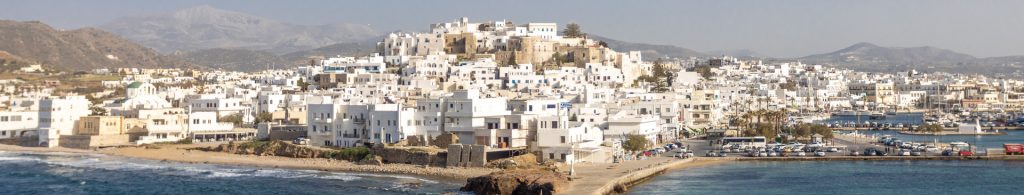 Naxos Naxos Beachfront Apartments – Akti Apollona in Apollonas Village