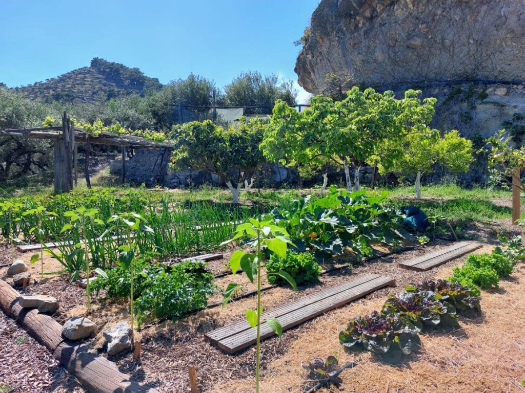 Farm stay Crete garden fresh food breakfast