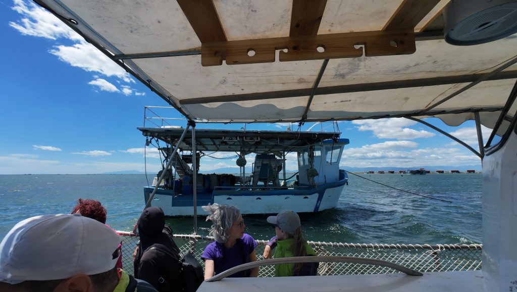 Boat Tour Axios Delta National Park from Thessaloniki