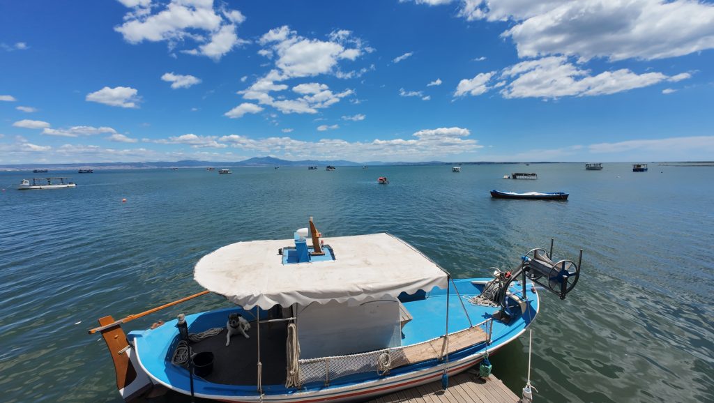 Thermaikos Gulf from Chalastra boat tour mussels farm