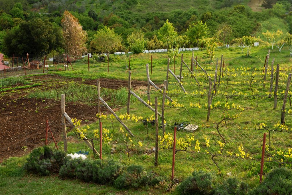 slow food farm greece