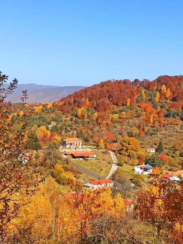 Karyofyto lost in the mountains