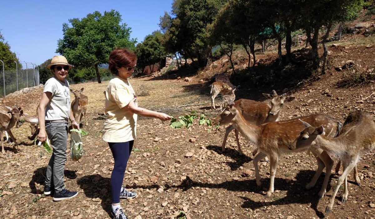 Family friendly experiences Greece